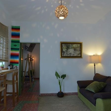 Posada Casa Mexicana Jamaica Mexico Extérieur photo