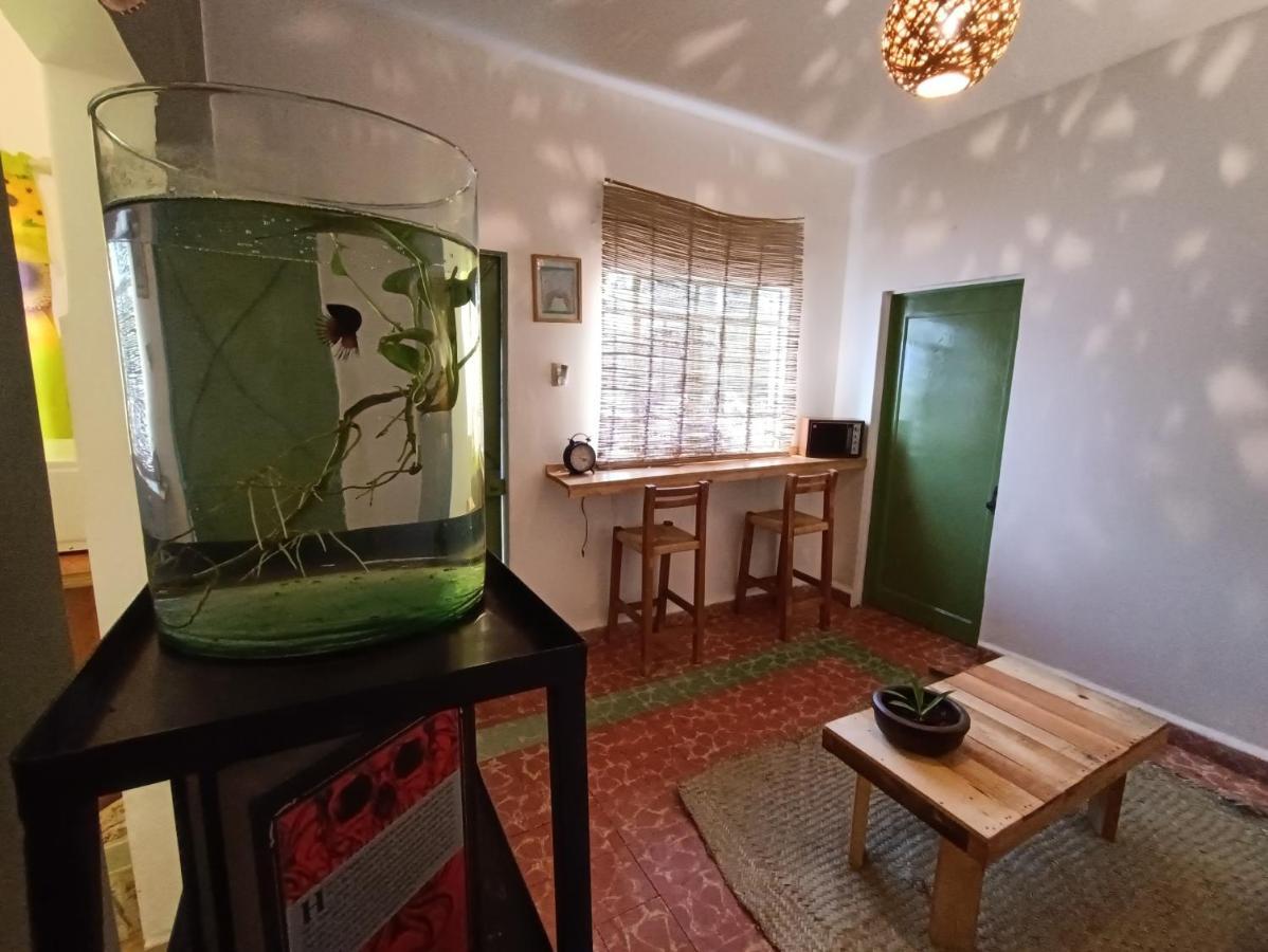 Posada Casa Mexicana Jamaica Mexico Extérieur photo